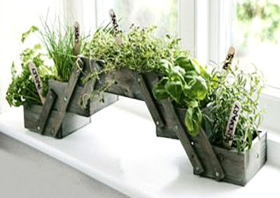 A planter kit showing healthy freshly grown herbs