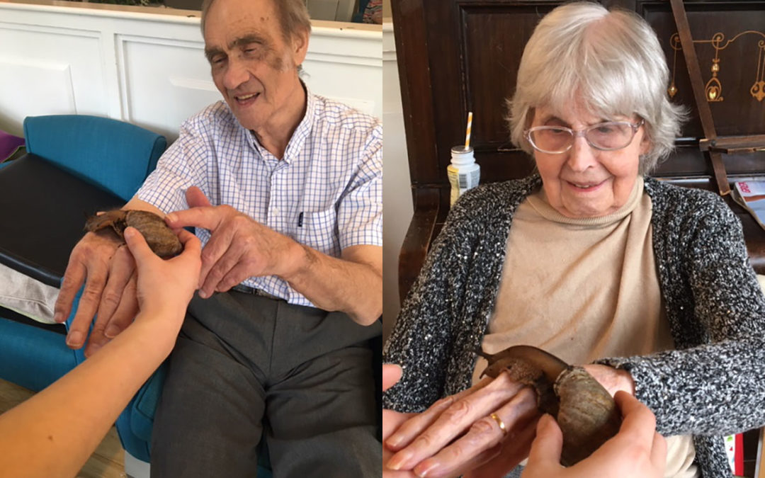 Bromley Park Care Home welcomes fascinating creatures from Zoolab