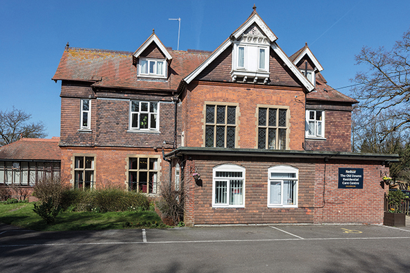 The Old Downs Care Home, main building