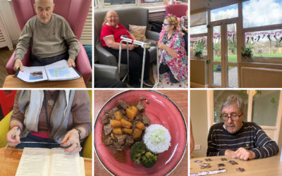 Bromley Park Care Home residents enjoy cruising to Japan